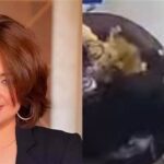 شبل أسد يهاجم مروة عبدالمنعم على الهواء… والنجمة تطمئن جمهورها!